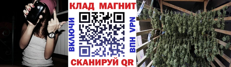 Виды наркотиков купить Вольск Марихуана  Гашиш 