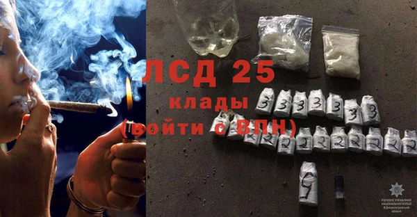прущие грибы Балахна