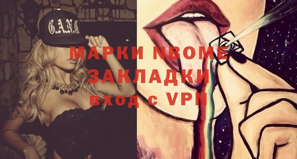 прущие грибы Балахна