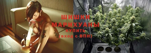 прущие грибы Балахна