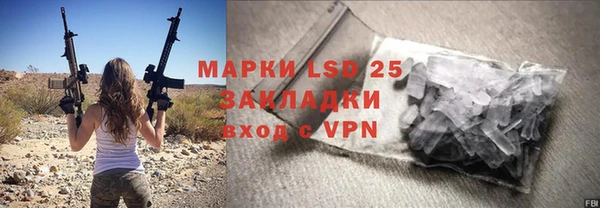 прущие грибы Балахна