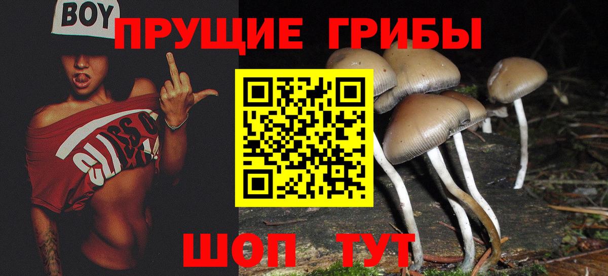 Галлюциногенные грибы Cubensis Вольск